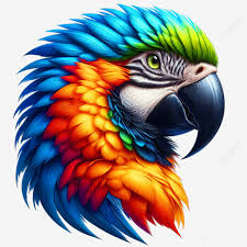 colorful natural wildlife bird parrot