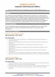 A cfo, or chief financial officer, is responsible for managing a company's cash flow, debt, and fiscal and financial analysis. Chief Financial Officer Resume Samples Qwikresume