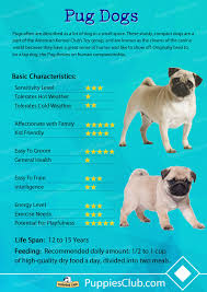 Pin By Puppies Club On Dog Breeds Characteristics Dog