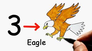how to draw an eagle step by step easy
