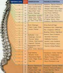 Nerve Chart Harmony Family Chiropractic