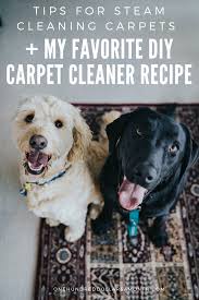 diy carpet cleaner recipe