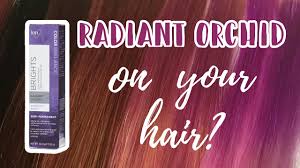 ion brights radiant orchid all hair