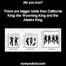 beds bigger than the california king