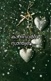 Today i am sharing with your impressive collection of love whatsapp status in urdu and english. Malayalam Status Love Never Ends Malayalam Status Malayalam Song Lyrics Loveforever Sad Love Status Love Alone Video Angel Rose Sharechat Funny Romantic Videos Shayari Quotes