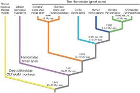 Social Science History Society And Science History Timeline