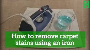 remove carpet stains using an iron