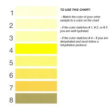 Urine Color Chart Bodybuilding Wizard