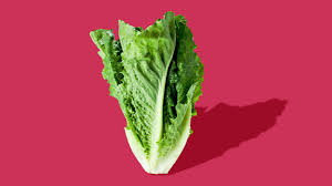 romaine lettuce benefits nutrition