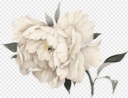 White Peony Flower Ilration Chanel
