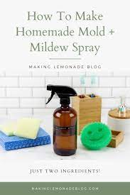 homemade mold and mildew spray making