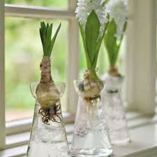 10 Easy Pieces Bulb Vases Gardenista