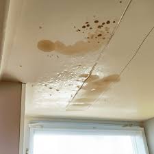 5 causes of water stains on ceilings