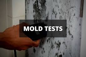 how to test for mold exposure 2023