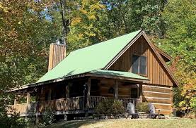 best pet friendly cabins in brown