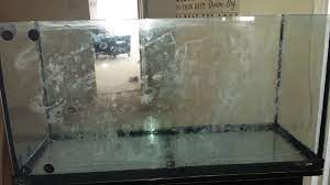 How To Remove Haze From Glass Aquarium
