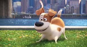 Your score has been saved for the secret life of pets. Review The Secret Life Of Pets Amuses But Misses Opportunities The New York Times