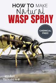 get rid of wasp nests without chemicals