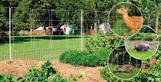 electric fence and netting for garden