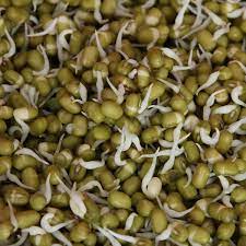 mung bean sprouts nutrition and health