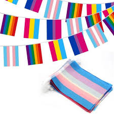 anley 8 in x 5 5 in assorted rainbow string flags 4 mixed flag banners with lgbt 32 piece
