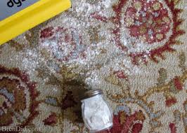 natural carpet deodorizer and room