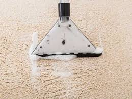 signs that your carpet could have mold