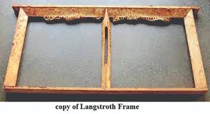 frames used in beehives bee culture