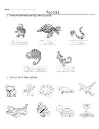 Theme Worksheet Reptiles By Teacher Shauna Esl Tpt
