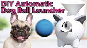 the ultimate diy automatic dog ball