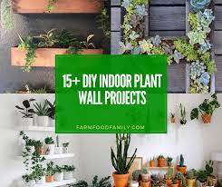 15 Best Diy Indoor Plant Wall Projects