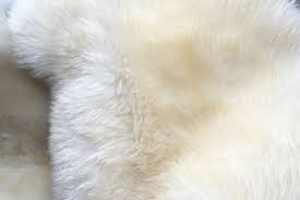 Try to avoid using a regular vacuum with rotating brushes. How To Clean A Faux Fur Rug 5 Steps Home Decor Bliss