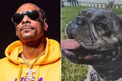 what-dog-is-snoop-dogg