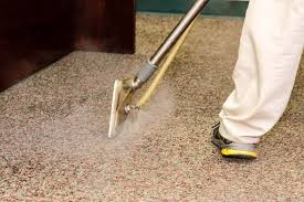 professional carpet cleaning clean