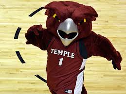 Image result for temple owl
