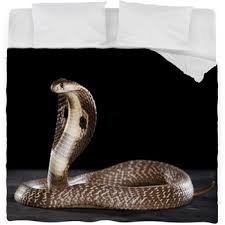 snake comforters duvets sheets sets