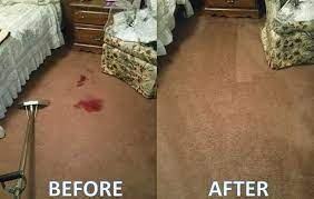 we are your expert carpet cleaning