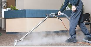 carpet cleaning service near me terry