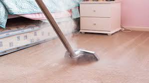 steam cleaning carpets vs shooing