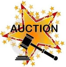 Silent Auction Welcome To Mapa Online The Official Website Of The