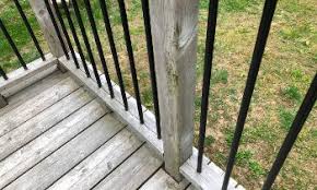 1285 cardboard removal experts near you. 7 Easy Ways How To Remove Green Mold From Wood Deck