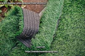 professional lawn care in youngsville nc