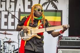 reggae ian concert free pictures