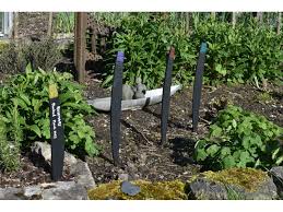 Slate Plant Markers Or Garden Feature