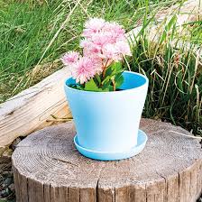 Plastic Plant Pot 10 5x9cm Blue