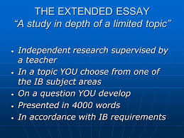 Business essay topic   Business Studies Extended Essay Topics      business management research paper
