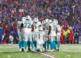 here are dolphins chances of making