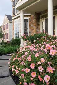 front yard landscaping ideas to