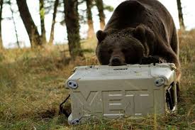 25 facts about yeti coolers