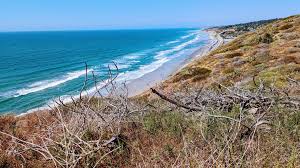 best torrey pines hikes tips from a